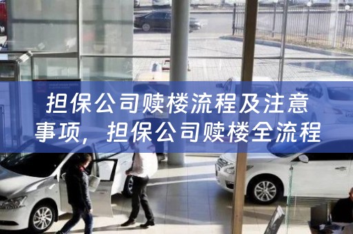 担保公司赎楼流程及注意事项，担保公司赎楼全流程及注意事项，解析，这个标题准确地概括了文本的主要内容，包括担保公司赎楼的流程和需要注意的事项。它能够吸引读者的注意力，并传达文本的关键信息。