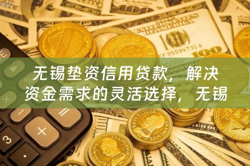 无锡垫资信用贷款，解决资金需求的灵活选择，无锡垫资信用贷款，灵活解决资金需求的选择