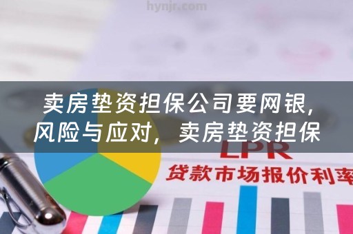 卖房垫资担保公司要网银，风险与应对，卖房垫资担保公司索要网银，风险何在？